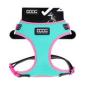 Preview: DOOG Neoflex Harness RIN TIN TIN Gr. S